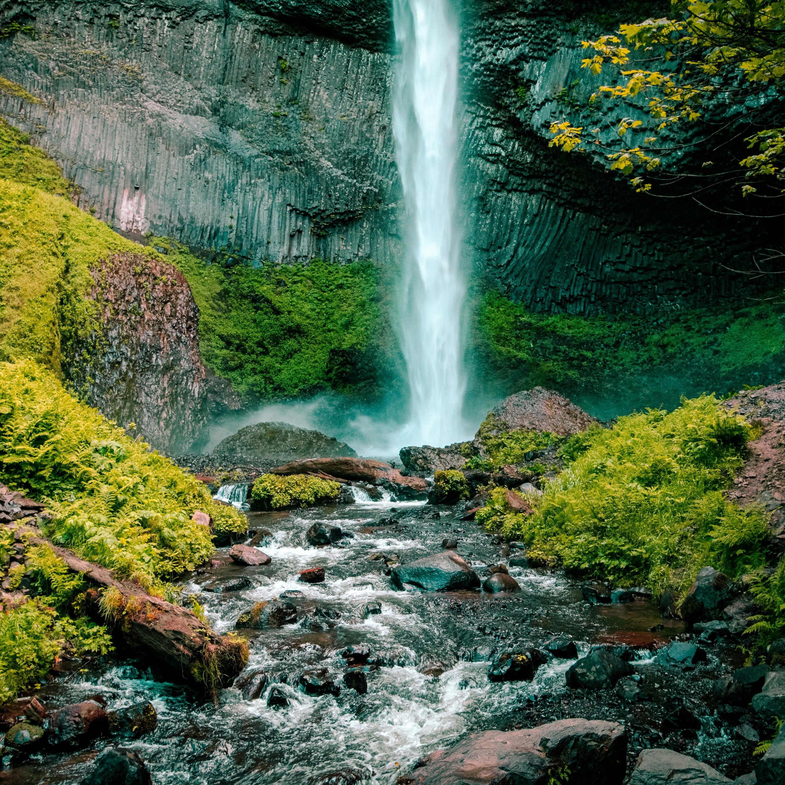 Ein stimmungsvoller Wasserfall umgeben von üppigem Grün. Das Bild verkörpert Innovation und Verantwortung für die Umwelt, während der Text diese Werte weiter ausführt.